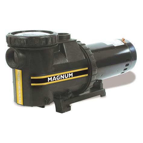 Carvin 1 Hp Inground Magnum Pump Pool Supplies Pumps Pool Water