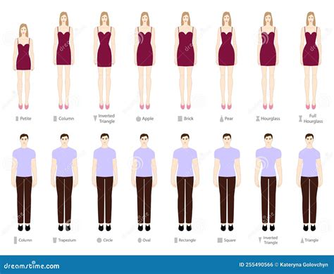 Set Of Women Men Body Shapes Types Apple Pear Triangle Column