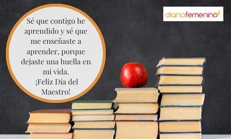 frases para el día del maestro dedicatorias para los queridos profes