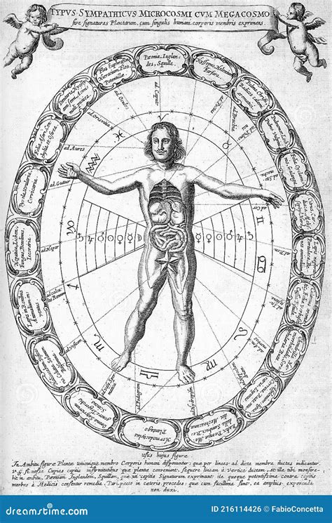 Alchemical Astrological Illustration Of The Correspondence Between