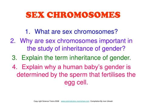 Sex Chromosomes Definition Examples And Facts My Xxx Hot Girl
