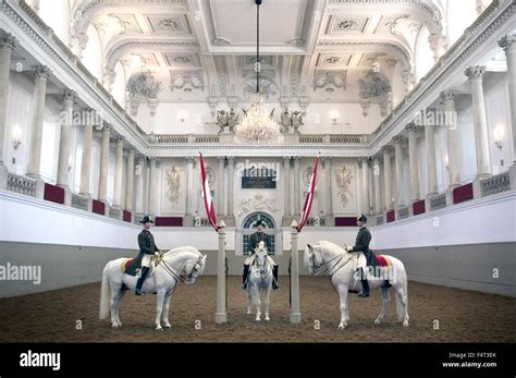 Lipizzaner Horses Spanish Riding School Vienna Stock Photo Alamy