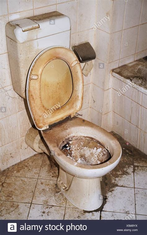 Pics Of Dirty Toilets Xxx Porn
