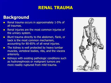 Ppt Urological Trauma Powerpoint Presentation Free Download Id5744322