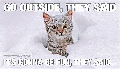 The Snow Isnt Appreciated By Everyone Very Funny Pics Very Funny