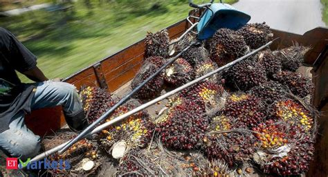 Crude palm oil futures, crude palm kernel oil futures, trading volume, open. Crude palm oil futures rise 0.75% as demand picks up - The ...