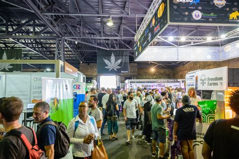 Highly Anticipated Cannabis Expo Comes To Cape Town