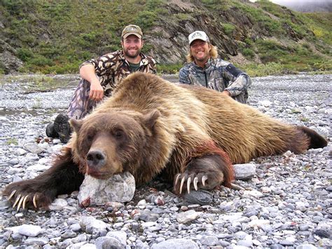 Grizzly Bear Paw Size
