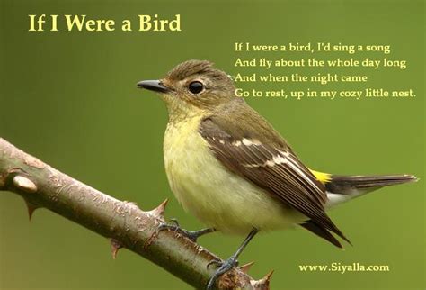 If I Were A Bird Birds For Kids Kids Poems Bird Poems
