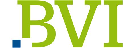 Bvi Logo