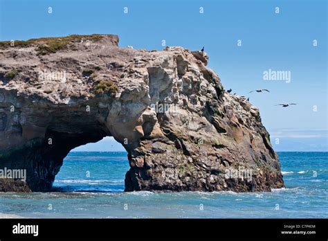 Natural Bridges State Beach In Santa Cruz California Stock Photo Alamy