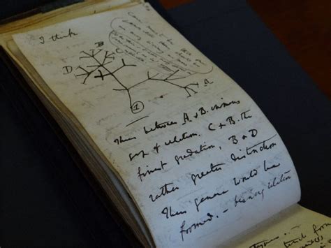 Darwin Notebooks Missing For 20 Years Returned To Cambridge Los