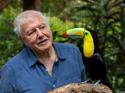 Sir David Attenborough To Present New Natural History Series For Bbc