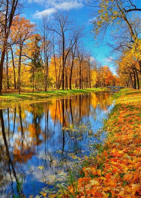 Amazing Beautiful Nature Beautiful Landscapes Autumn Scenery