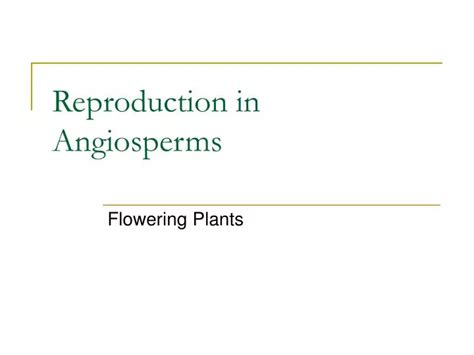 Ppt Reproduction In Angiosperms Powerpoint Presentation Free
