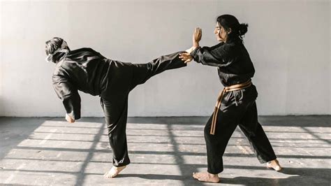 8 Effective Karate Techniques Master Videos Teach You Step By Step