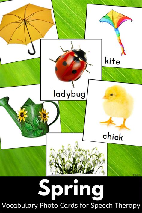 Spring Vocabulary Cards For Esl And Special Education In 2021 Spring