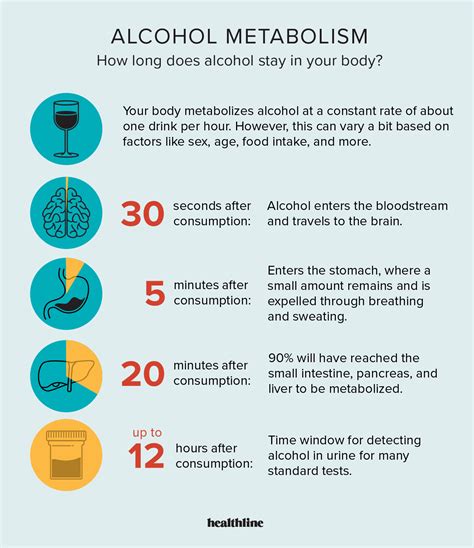How Long Does Alcohol Stay In Your System