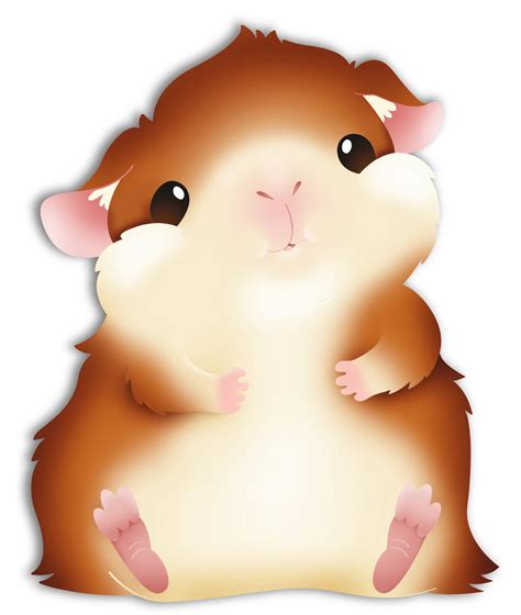 Guinea Pig Cartoon Drawing At Getdrawings Free Download