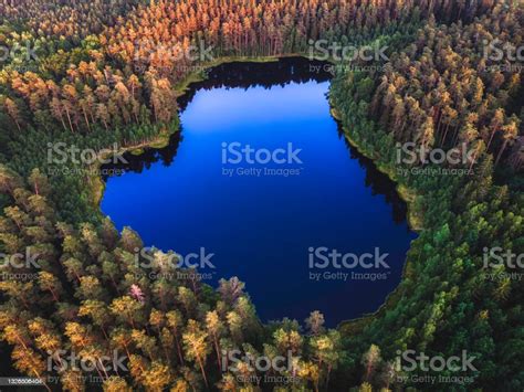 Beautiful Landscape With Small Lakes In The Green Forest Stock Photo