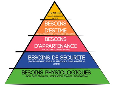 Pyramide Des Besoins De Maslow Marketing Pdf Canadian Guide User