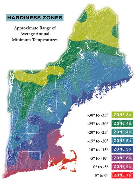 New England Hardiness Zone Map — Allen Sterling And Lothrop