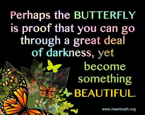 Perhaps The Butterfly Is Proof That You Can Go Through A Great Deal Of