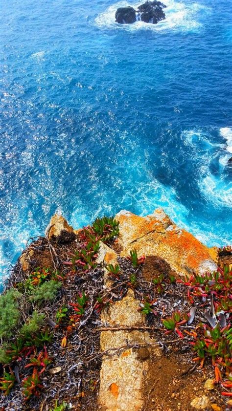 Looking Down Cliffs Edge Bigsur Cliff Edge Big Sur Grand Canyon