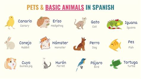 Animals In Spanish List Of 100 Farm Wild And Sea Animals