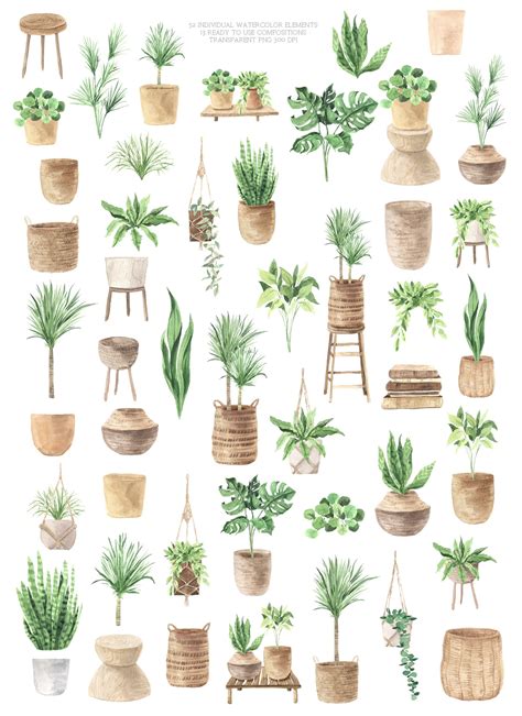 Boho Plant Home Clipart Watercolor House Potted Plant Png Elements