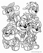 PAW Patrol Mighty Pups Characters Coloring Pages - XColorings.com