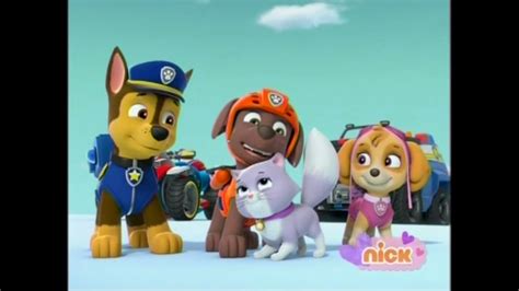 Zumagallerypups Save A Stowaway Paw Patrol Wiki Fandom Powered By