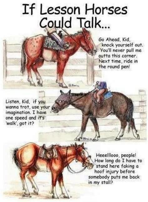 Funny Horse Quotes And Jokes Shortquotescc