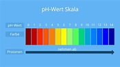 pH-Wert einfach erklärt • Skala und Bedeutung · [mit Video]