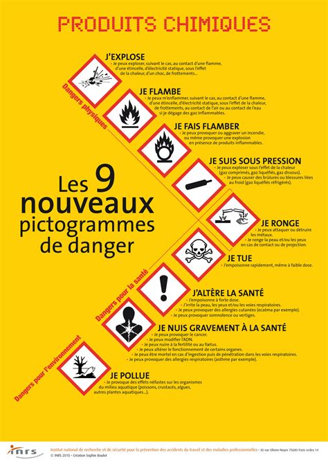 Toxicit Plage Cach Pictogramme Lectricit Signification F Te Chien