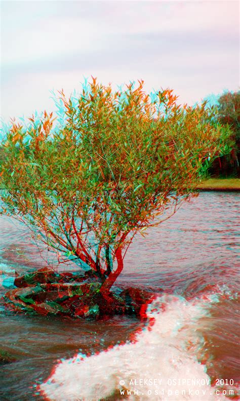 Anaglyph 3d Stereoscopic By Osipenkov On Deviantart