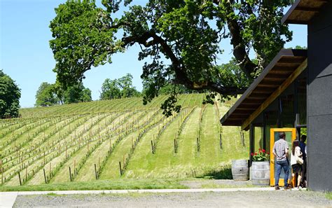 Best Mcminnville Foothills Wineries Wineryhunt Oregon