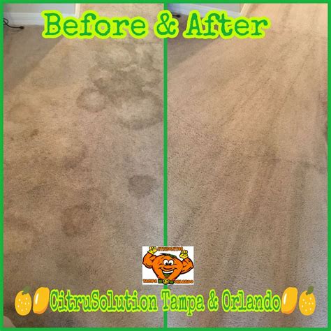 Home / search / tampa variety cleaning solution business info unverfied. 🗣#CitruSolution #Carpet & #Upholstery #Cleaning of #Tampa ...