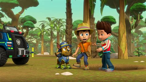 Watch Paw Patrol Season Episode Tracker Joins The Pups Full