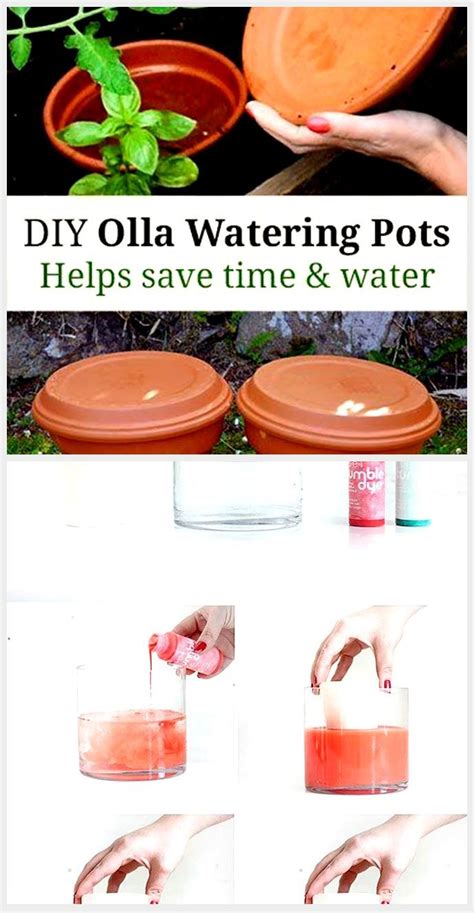 Diy Olla Watering Cans A Low Tech Solution That Irrigates Plants In