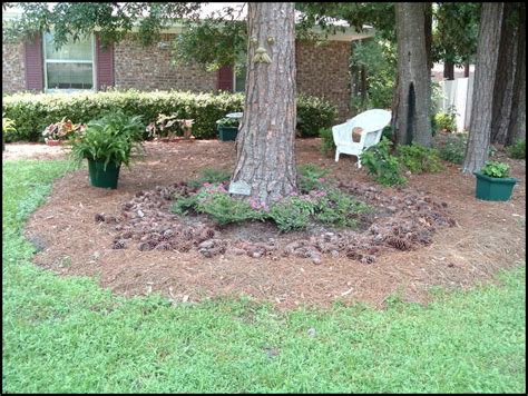 Landscaping under pine trees can seem like a challenge, but that is far from the truth. Landscaping Under Pine Trees | The Garden