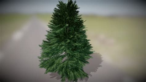 Small Pine Tree 3d Model By Null Pointer Imanolfotia 99c8c9d