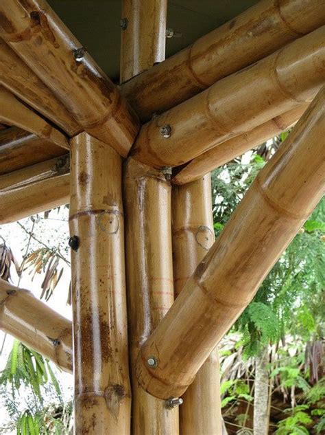 Bamboo Poles For Sale Building Supplies The Supply Scout