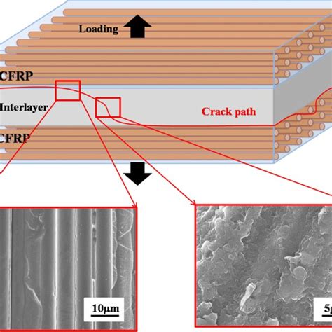 A Schematic Model Of Crack Propagation At The Carbon Fiber Interface