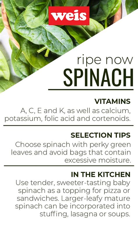 Spinach is a highly nutritious vegetable that can play an incredibly positive role in any diet. How Many Calories In A Bag Of Spinach - Bag Poster