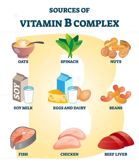 Check spelling or type a new query. Source of vitamin B complex with labeled healthy food ...