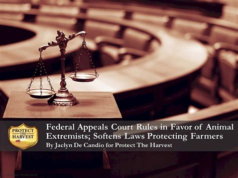 Pth Federal Appeals Court Rules In Favor Of Animal Extremists