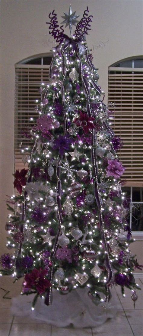 How big is a purple pine christmas tree? Purple Christmas Trees - Christmas Photos