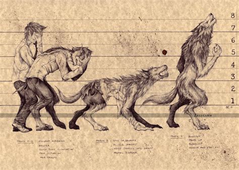 Werewolf Part2 Transformation Sequence By Zellgarm Werewolf Aesthetic