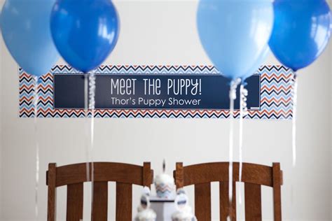 Thors Diy Puppy Shower Puppy Party Puppy Birthday Parties